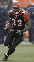 Johnson, Rudi CIN RB