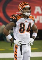 Houshmandzadeh, T.J. SEA WR